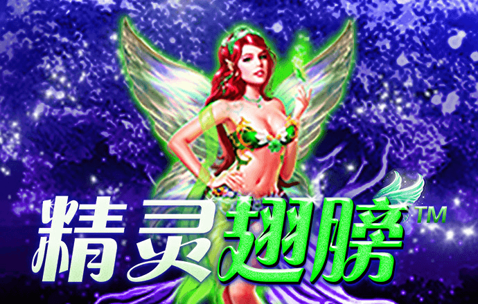 王中王资料大全枓大全正使用教程
